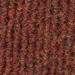 Autumn Red