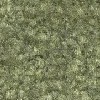 Moss Green
