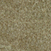 Heather Camel