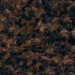 Brown Black