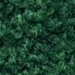 Glen Green
