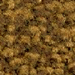 Golden Brown