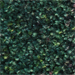 Hunter Green