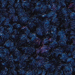 Midnight Blue