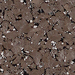 Dark Taupes