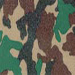 Camouflage